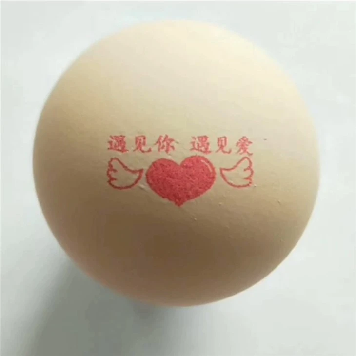 E5 Automatic Egg Printer